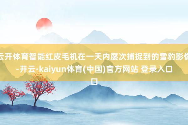 云开体育智能红皮毛机在一天内屡次捕捉到的雪豹影像-开云·kaiyun体育(中国)官方网站 登录入口