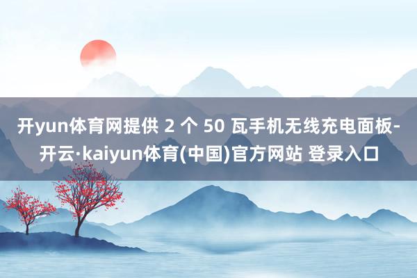 开yun体育网提供 2 个 50 瓦手机无线充电面板-开云·kaiyun体育(中国)官方网站 登录入口