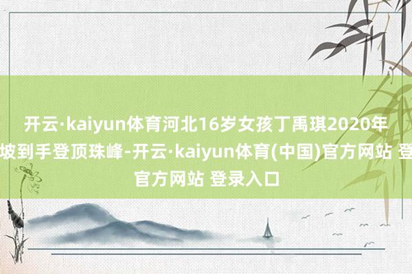 开云·kaiyun体育河北16岁女孩丁禹琪2020年曾从北坡到手登顶珠峰-开云·kaiyun体育(中国)官方网站 登录入口