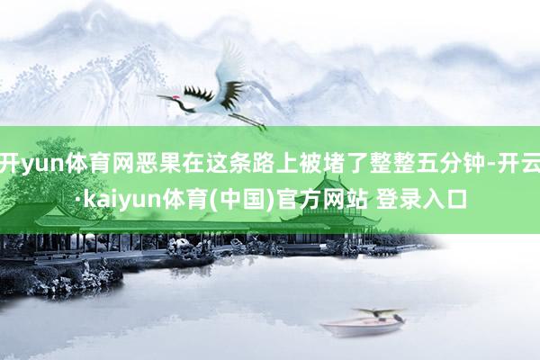 开yun体育网恶果在这条路上被堵了整整五分钟-开云·kaiyun体育(中国)官方网站 登录入口
