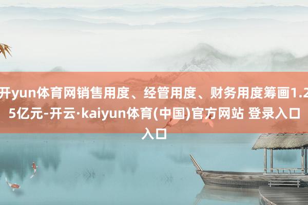 开yun体育网销售用度、经管用度、财务用度筹画1.25亿元-开云·kaiyun体育(中国)官方网站 登录入口